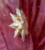 Лівий орден