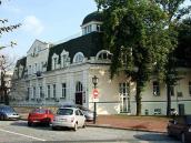 2007 р. Загальний вигляд