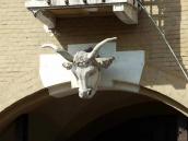 Голова корови