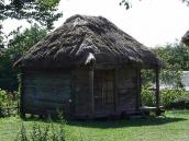 2007 р. Загальний вигляд