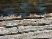 2007 р. Фрагмент зрубу