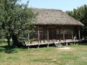 2007 р. Загальний вигляд