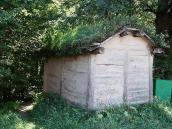 2007 р. Загальний вигляд з тильного боку