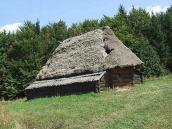 2007 р. Загальний вигляд