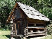 2007 р. Загальний вигляд