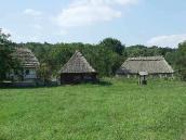 2007 р. Загальний вигляд