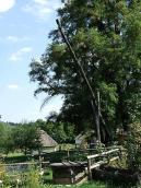 2007 р. Загальний вигляд