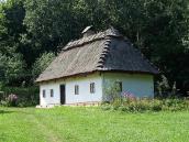 2007 р. Загальний вигляд