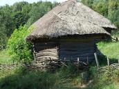 2007 р. Загальний вигляд з тильного боку