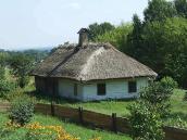 2007 р. Загальний вигляд з тильного боку