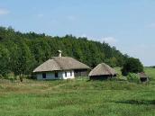 2007 р. Загальний вигляд (хата,…