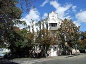 2007 р. Загальний вигляд