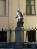 2007 р. Загальний вигляд анфас