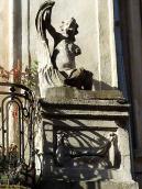 Вигляд анфас