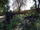 2007 р. Загальний вигляд