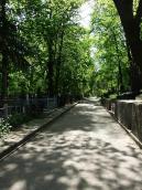 2008 р. Алея між 3 (ліворуч) і 1…