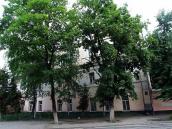 2008 р. Загальний вигляд з боку…