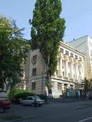 2008 р. Загальний вигляд