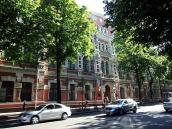 2008 р. Загальний вигляд