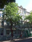 2008 р. Загальний вигляд