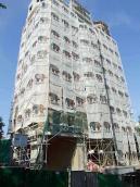 2008 р. Загальний вигляд у процесі…