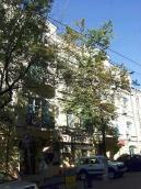 2008 р. Загальний вигляд