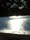 Сонячна доріжка на Десенці