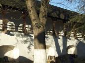 2008 р. Північний мур. Ділянка на схід…