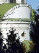 Південна конха