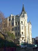 2008 р. Загальний вигляд