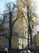 Західне крило