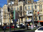 2009 р. Загальний вигляд