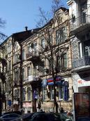 2009 р. Загальний вигляд