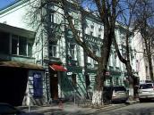 2009 р. Загальний вигляд