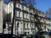 2009 р. Загальний вигляд