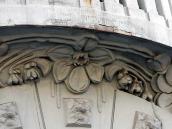 Рослинний рельєф