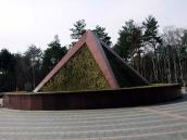 2009 р. Загальний вигляд