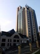 2009 р. Загальний вигляд