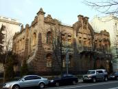 2009 р. Загальний вигляд