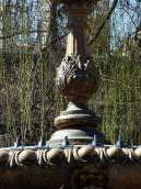 Верхнє стебло