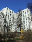 2009 р. Загальний вигляд