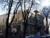 2009 р. Загальний вигляд