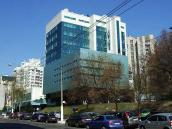 2009 р. Загальний вигляд