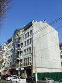 2009 р. Загальний вигляд