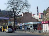 2009 р. Загальний вигляд