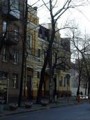 2009 р. Загальний вигляд