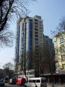 2009 р. Загальний вигляд