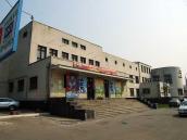 2009 р. Загальний вигляд