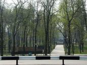 2009 р. Головна алея парку з…