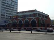 2009 р. Загальний вигляд